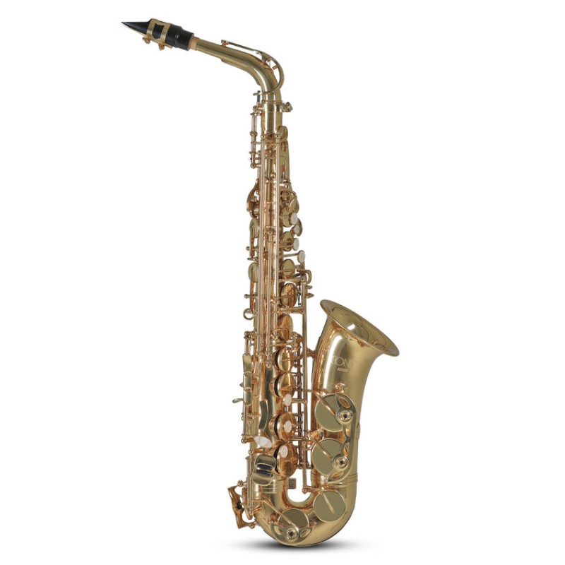 SAX CONTALTO Mib CONN AS-650, astuccio leggero a zaino.