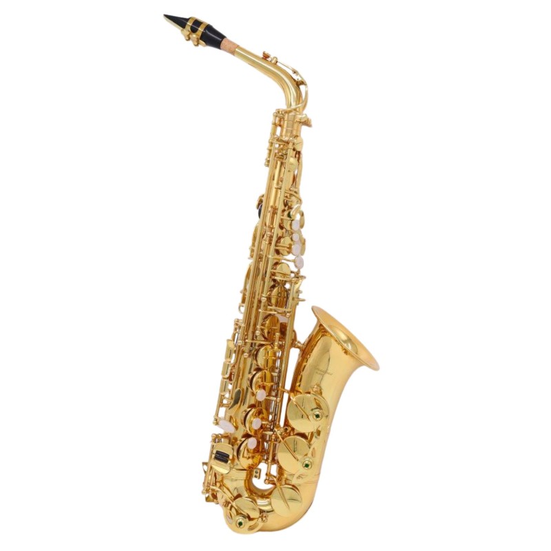 SAX CONTRALTO AMADEUS AL850