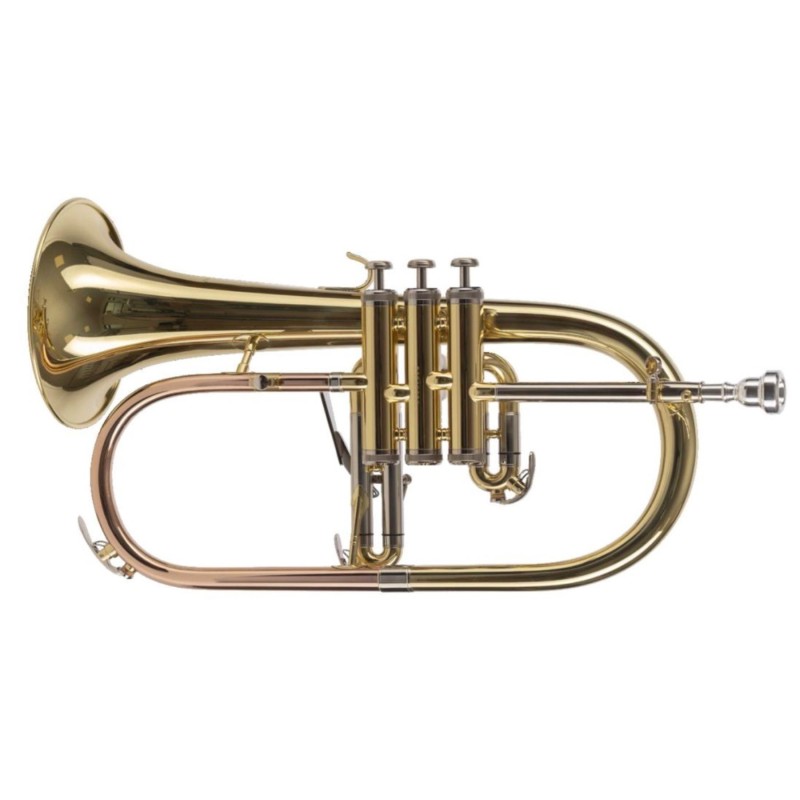 FLICORNO SOPRANO AMADEUS FLH450 laccato con custodia piston monel.